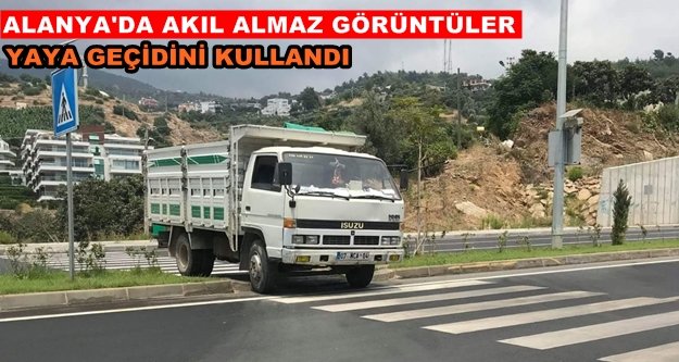 Kamyoncu 'pes' dedirtti