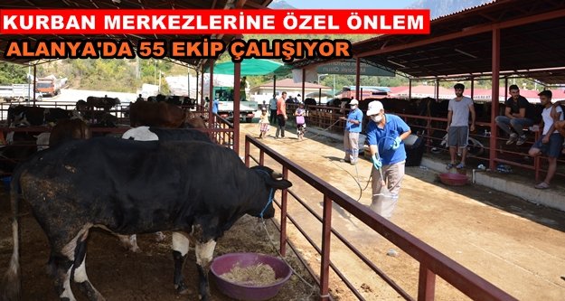 Manavgat ve Alanya’da bayram öncesi ilaçlama seferberliği