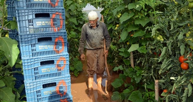Sel sonrası seralara giren üreticileri gördükleri manzara üzdü