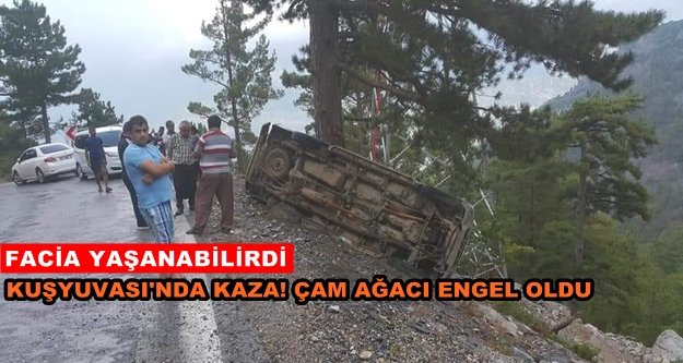 Uçuruma yuvarlanan aracı çam ağacı böyle kurtardı