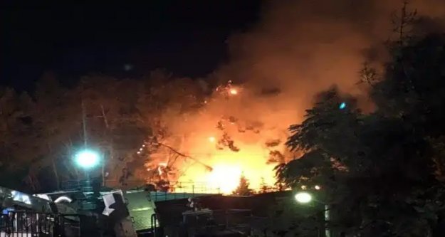 Alanya'da gece korkutan yangın