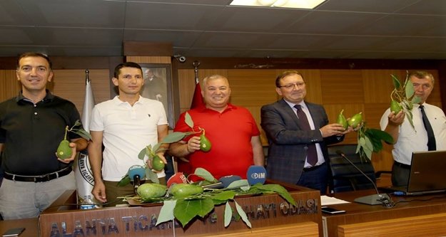 'Alanya Avokadosu' tescil sevinci
