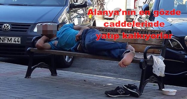 Bankta uyku keyfi vatandaşı rahatsız ediyor