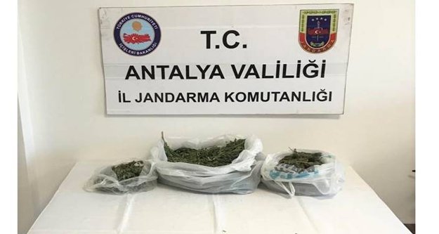 Kavga ihbarından 3 kilo esrar çıktı