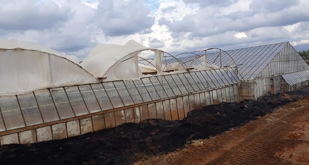 Yangında seralar zarar gördü