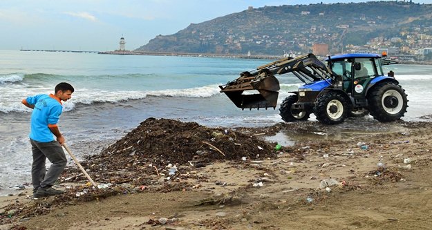 Alanya Belediyesi sahil temizliğinde