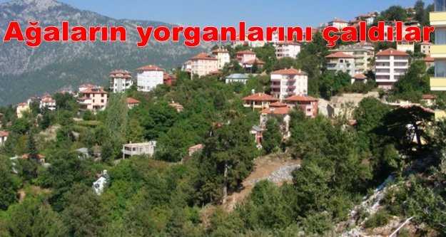 Alanya'nın ağalarına hırsız sürprizi