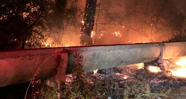 Antalya’da orman yangını