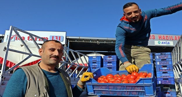 Domateste rüya kabusa dönmesin çabası