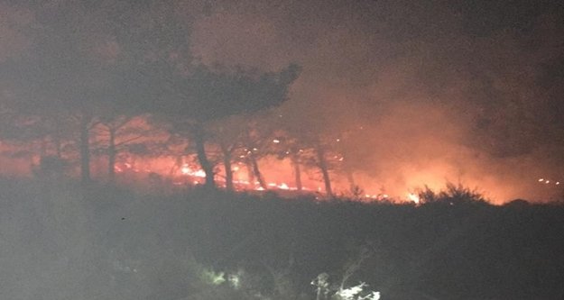 Gazipaşa'da yangın paniği