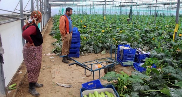 Gözü dönmüş hırsızlar serayı soydu