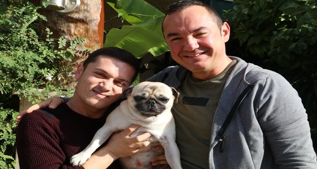 Kayıp 'Jimmy' derisinin altına yerleştirilmiş çip sayesinde bulundu