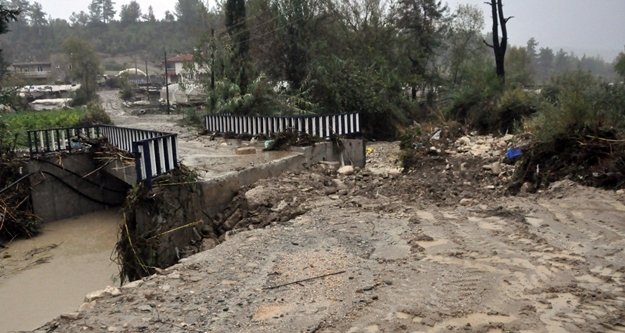 Kuvvetli yağışta hayvanlar telef oldu