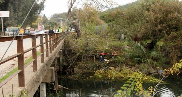 Naras Köprü girişinde bitkiler temizlendi