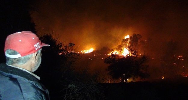 Yangında 10 hektarın üzerinde alan zarar gördü