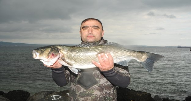 Zıpkınla 10 kiloluk levrek avladı