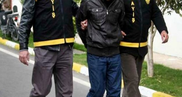 Ağaç motoru ve terazi hırsızı yakalandı