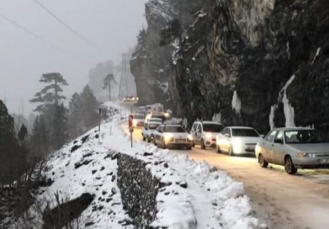 Alanya Kuşyuvası'ndaki can pazarından sevindirici haber