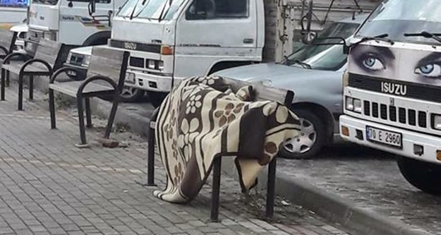 Alanya’da vicdanları sızlatan görüntü!