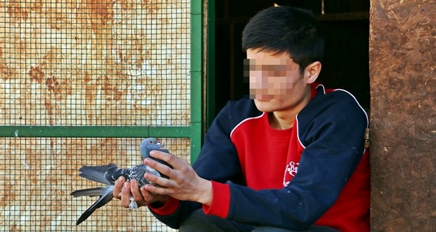 Bonzainin gerçek yüzünü kullananlar anlattı!