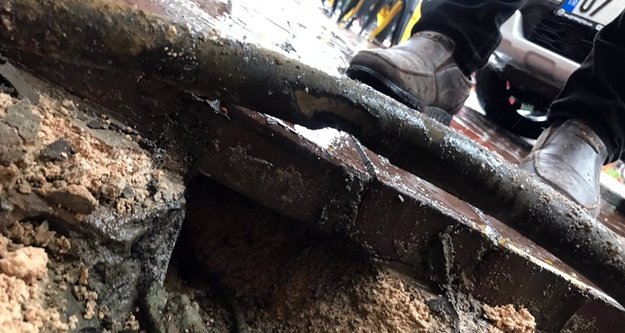 Alanya'da farenin yaptığına inanamayacaksınız