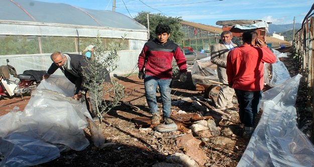 Fırtına sonrası seraların üzerine elektrik direği devrildi