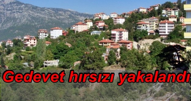 Gedevet hırsızı jandarmadan kaçamadı
