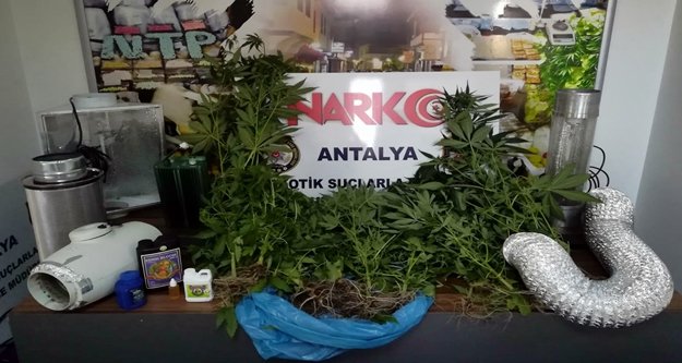 Narkotim’den uyuşturucu tacirlerine şok baskın