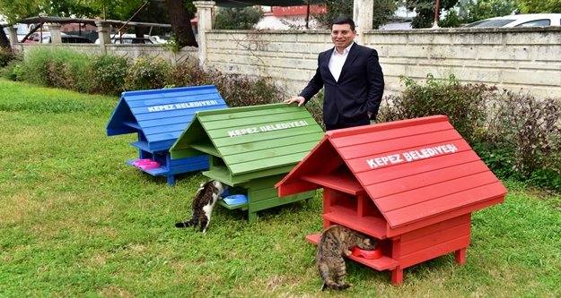 Parklar kedi evleriyle neşelendi