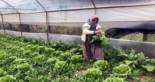 Seracılığı geliştiren proje