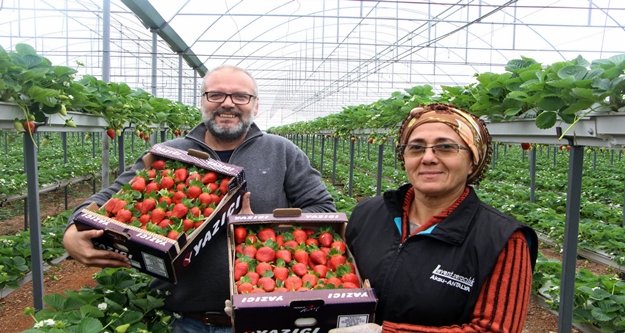 Topraksız üretim yapan çiftinin geliri 5 kat arttı