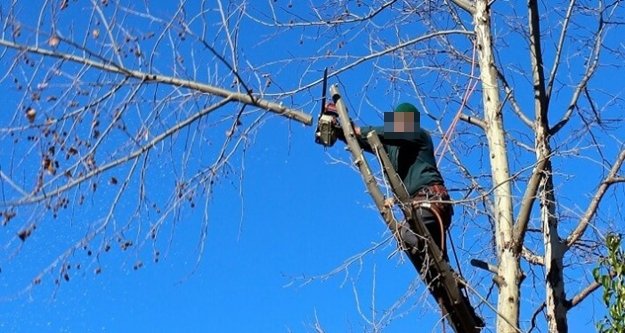 Alanya’da ağacı budarken düşen genç  yaralandı