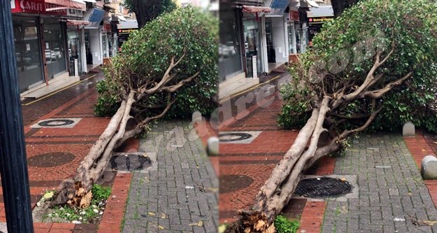 Alanya’da Hayate Hanım Caddesi yerle bir oldu!