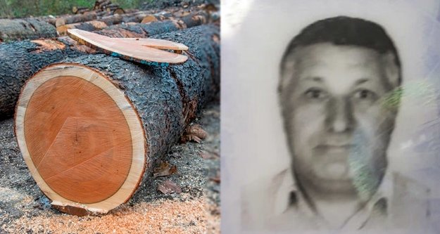 Alanya’da kestiği ağacın altında kalan işçi öldü