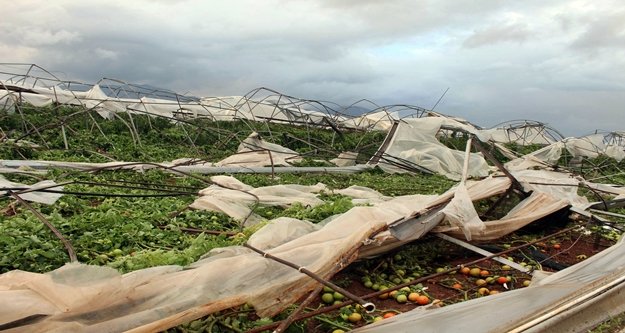 Dünkü hortumda yüzlerce sera yıkıldı!