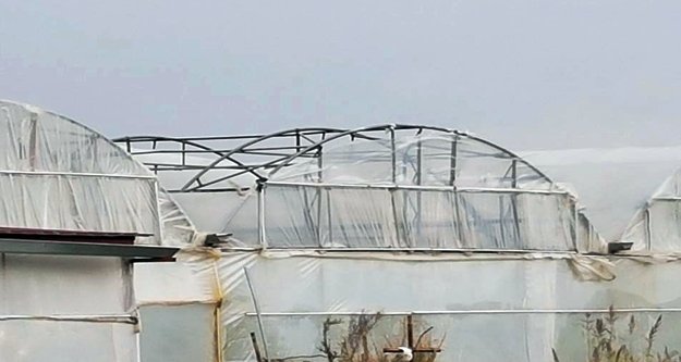 Fırtına seraları vurdu!