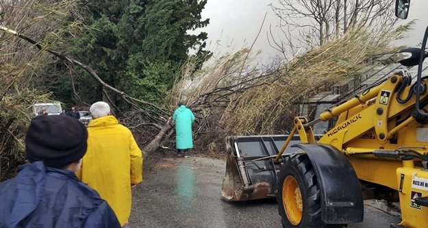 Fırtına sonrası temizlik çalışmaları devam ediyor