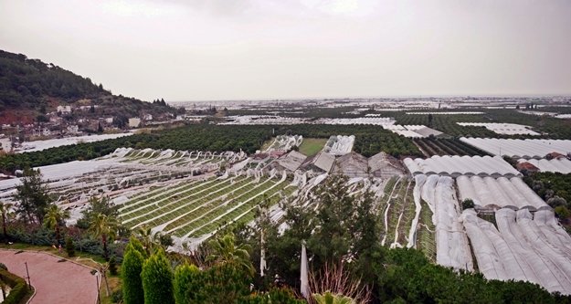 Hortum mağduru çiftçilere sevindirici haber
