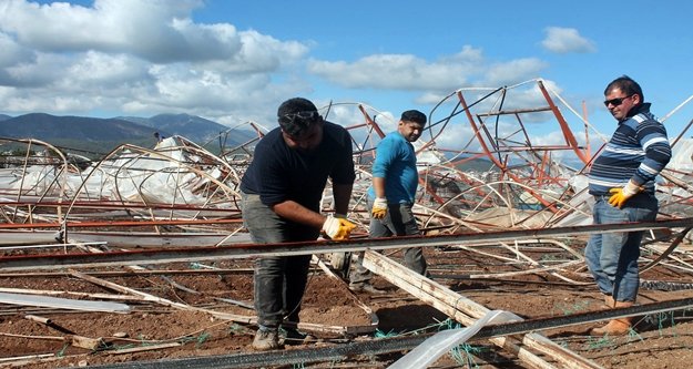 Hortumun yıktığı seralarda tamirat başladı!