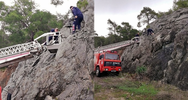 Kayalıklarda mahsur kalan köpek kurtarıldı
