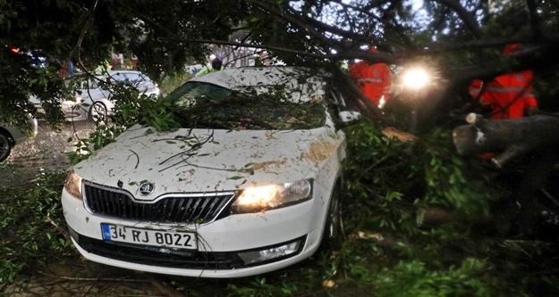 Köklenen ağaçlar seyir halindeki otomobillerin üzerine devrildi!