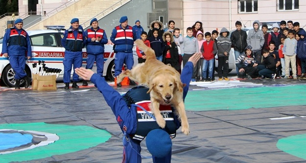 Özel eğitimli jandarma köpeklerinden nefes kesen gösteri