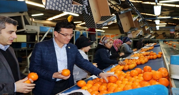 AK Partili Uslu'dan portakal üreticilerine müjde