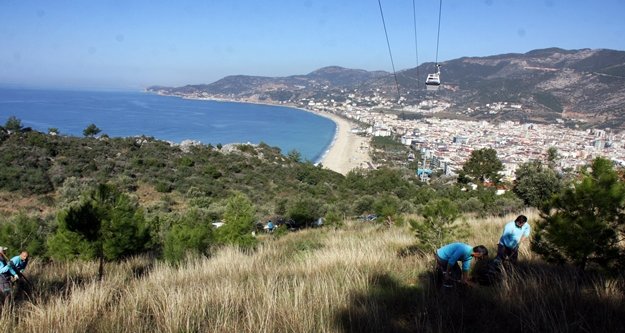 Alanya Teleferik hattı badem ağaçlarıyla süslenecek