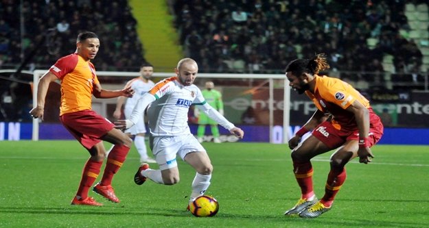 Aslan elimizden yaralı kurtuldu