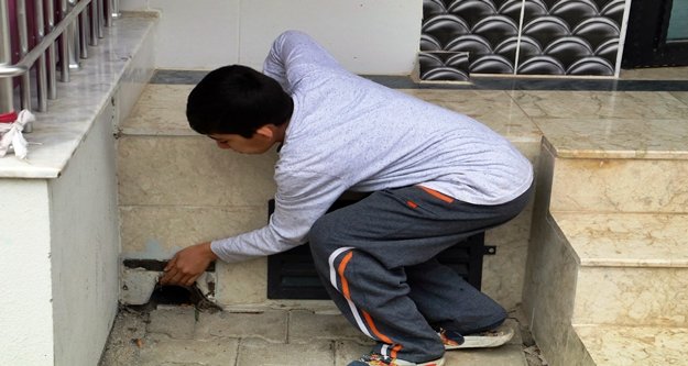 Boş evde mahsur kaldı, sütü görünce dayanamadı!