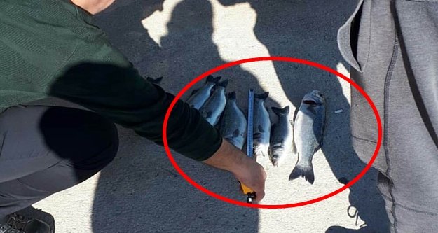 Ekipler tek tek boylarını ölçtü