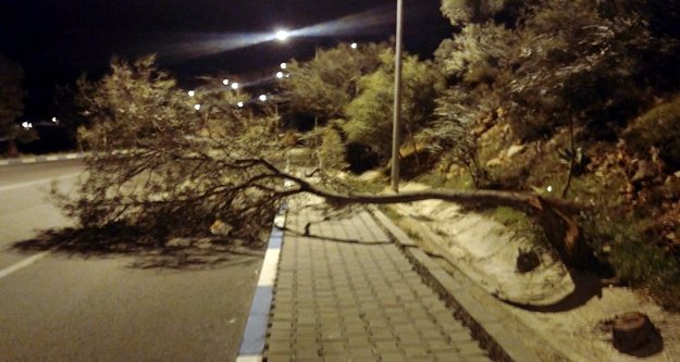 Fırtına hayatı olumsuz etkiledi