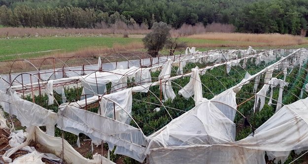 Fırtınada 500 dönüm sera zarar gördü