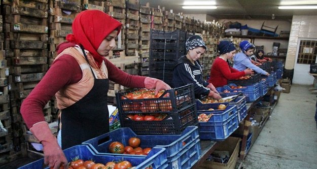 Sıcak hava fiyatları düşürdü